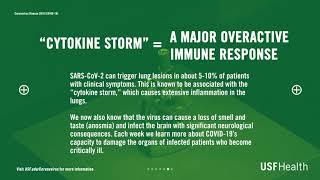 What is a Cytokine Storm?