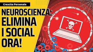 Neuroscienza - I Social Network Ti Stanno Danneggiando il Cervello