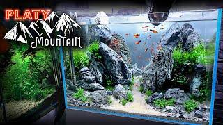 Aquascape Tutorial PLATY FISH Mountain Aquarium How To Step by Step Planted Tank Guide