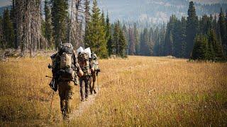 Must-Have Gear for Your Backcountry Backpack Hunt