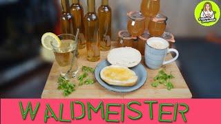 Waldmeister ernten -  Gelee und Sirup herstellen