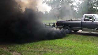 Whats Driving You Crazy Is it legal for diesel trucks to roll coal?