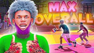 FASTEST WAY TO GET MAX BADGES AND 99 OVERALL IN 1 DAY IN 2K24 MAX EVERY BUILD YOU MAKE IN A DAY