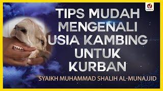 Tips Mudah Mengenali Usia Kambing untuk Kurban - Syaikh Muhammad Shalih Al-Munajjid