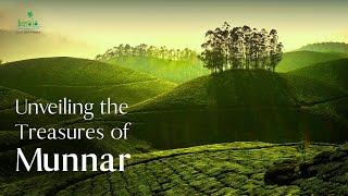 The Ultimate Munnar Experience  Kerala Tourism #DreamDestinations