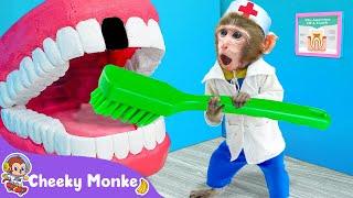 Go To The Dentist ‍️ Dentis Song  Cheeky Monkey - Nursery Rhymes & Kids Songs