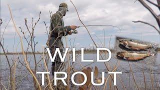 Wild Trout Fishing & Saku Gets Cut By Trash in Woods