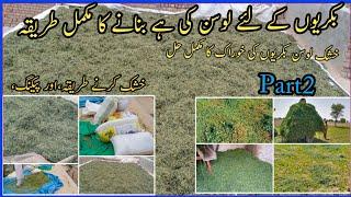 How Make Alfalfa hay for goat.. Ghar par lusan kie hay banay..How to pack hay PART 2 خشک لوسن کی ہے