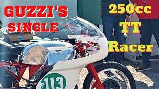Moto Guzzis  1960s 250cc Isle of Man TT Competitor.