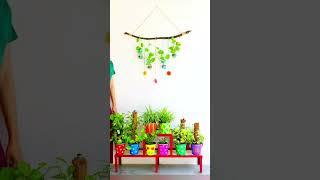 Indoor Money Plant Decoration IdeasBest Indoor Plant