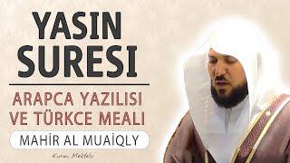 Yasin suresi anlamı dinle Mahir al Muaiqly Yasin suresi arapça yazılışı okunuşu ve meali