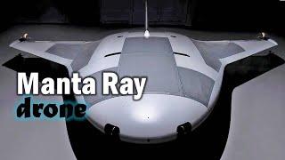 Meet Drone Manta Ray  New Kind of Underwater Predator The Mysterious Manta Ray