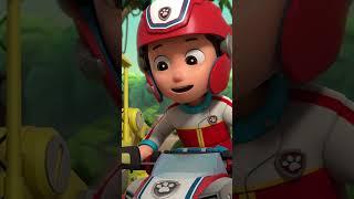 Everest and Pups Save a Baby Elephant in the Jungle #pawpatrol #shorts