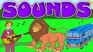 Learn All About Sounds Animals Musical Instruments Noise Machines Educational Videos for Kids