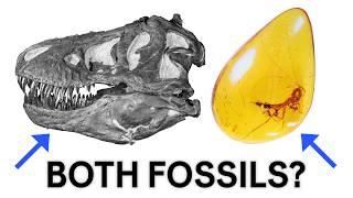 What is a fossil?