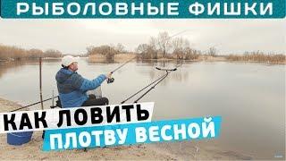 Как ловить плотву весной? С прикормкой или без? #РыболовныеФишки