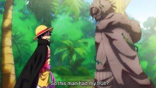 Luffys Reaction to Finding His Ancestor Joy Boy - One Piece