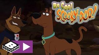 Sakin Ol Scooby Doo  Hurdalık Köpekleri  Boomerang