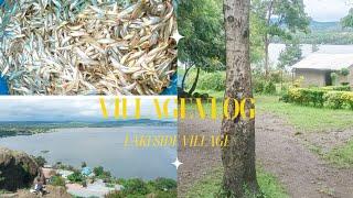VILLAGE VLOG1st DAY IN MY VILLAGE AT THE SHORES OF LAKE VICTORIA