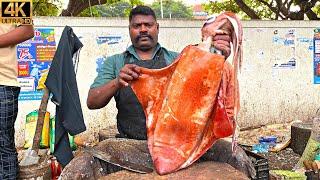 KASIMEDU  SPEED SELVAM  INTERESTING  BIG SQUID  CUTTING  4K VIDEO  IN KASIMEDU  FF CUTTING