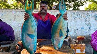 KASIMEDU  SPEED SELVAM  VERY RARE PARROT  FISH CUTTING VIDEO  IN KASIMEDU  FF CUTTING