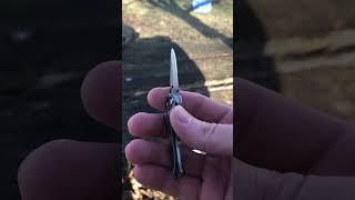 Daily Sharpening True Pocket Knife #knife #sharpknife #knifesharpening