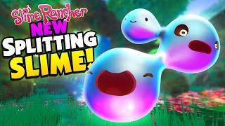 *New* SPLITTER SLIME Multiplies when ANGRY - Slime Rancher Mods