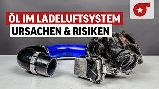 Öl im Ladeluftsystem - Ursachen Risiken & was zu beachten ist