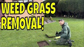 If You Do This Lawn Trick Now it Will Pay You Back In Spring