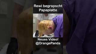 REWI BEGRAPSCHT PAPAPLATTE  #shorts #twitchde #streamer