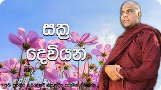 සක්‍ර දෙවියන්  The God Sakra  Ven Galigamuwe Gnanadeepa Thero