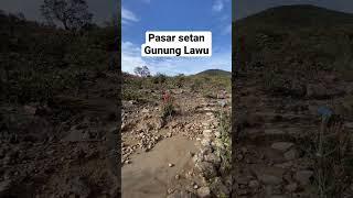 Pasar setan gunung Lawu #gununglawu #pasarsetan #mountains