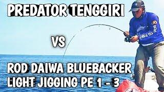 Tes Joran DAIWA BLUEBACKER Light Jigging PE 1-3 vs Predator TENGGIRI‼️Mancing Mania Madura‼️