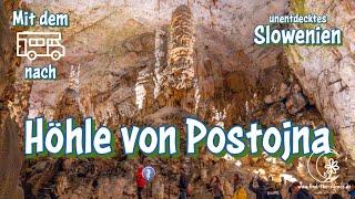 Die Höhle von Postojna - spektakulärer Ausflug in eine der größten Höhlen der Welt - WoMo-Tour SL