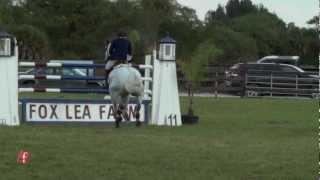 Fox Lea Farm horse show facility Sarasota County Florida