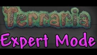 Terraria Expert Mode Spirit Mod Gameplay LIVE