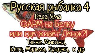 РР4. река Яма. ФАРМ на белку. Где клюет Ленок? Также Микижа Мальма Кунджа Кета Кижуч.