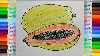 How to draw a papaya step by step  Fruits Drawing easy