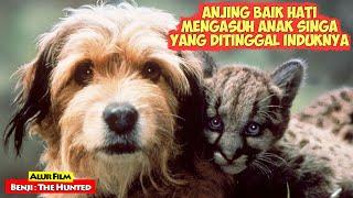 Kisah Anjing Baik Hati Yang Menyelamatkan Anak Singa Dan Mengasuhnya Di Hutan  Alur Cerita Film