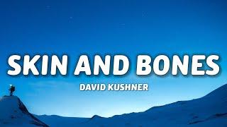 David Kushner - Skin and Bones Lyrics