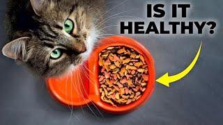 How to Choose Healthy Cat Food Brands  5 Healthiest Cat Food