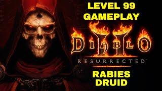 Diablo 2 Resurrected - Level 99 - RABIES DRUID - Andariel  Black Marsh  Hole PLAYER 8 HELL DIF