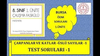 8. sınıf meb çalışma fasikülleri çözümleri  Bursa -2 