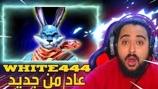 WHITE444 IS BACK  Reaction