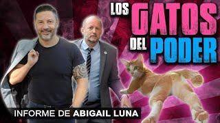 Corruptos de joda Insaurralde Menéndez y sus gatos