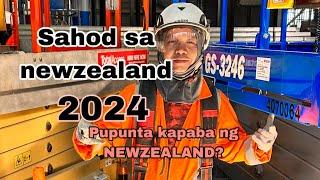 Sahod sa Newzealand 2024#LindonSan#carpenter#ofw