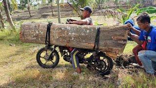 the strongest homemade motorbike in the world for transporting large logs