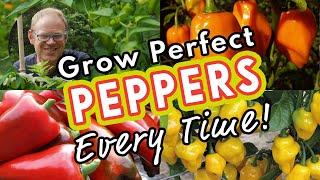 Grow Perfect Peppers Every Time 