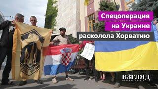 Бойкот президента за поддержку России. Хорваты не поделили украинских нацистов. Наш друг Миланович