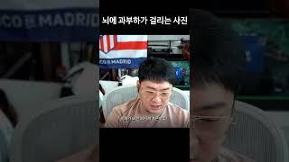 뇌가 메차쿠차되는 사진 #개복어 #shorts